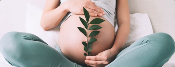 Вебинар: Подготовка к беременности