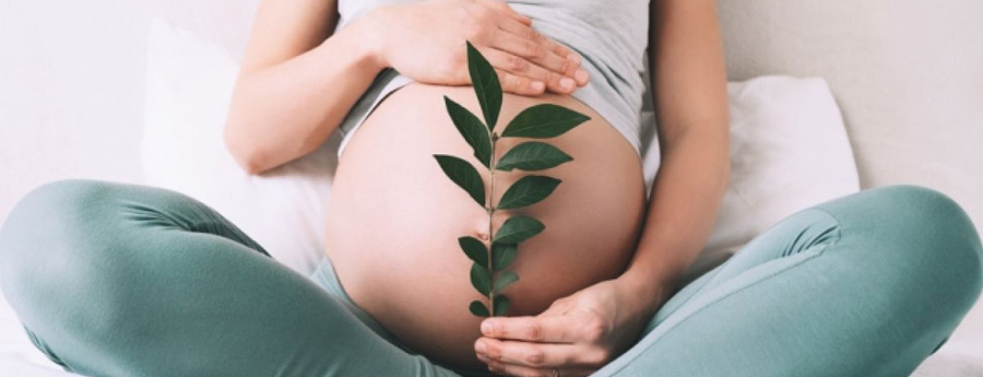 Женское здоровье